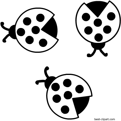 Free Clipart Black And White Ladybirds - White (450x450)
