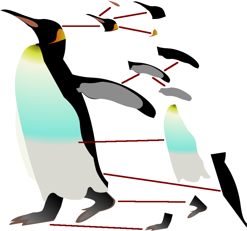 King Penguin Structured Into Its Subobjects - Penguin Clip Art (900x850)