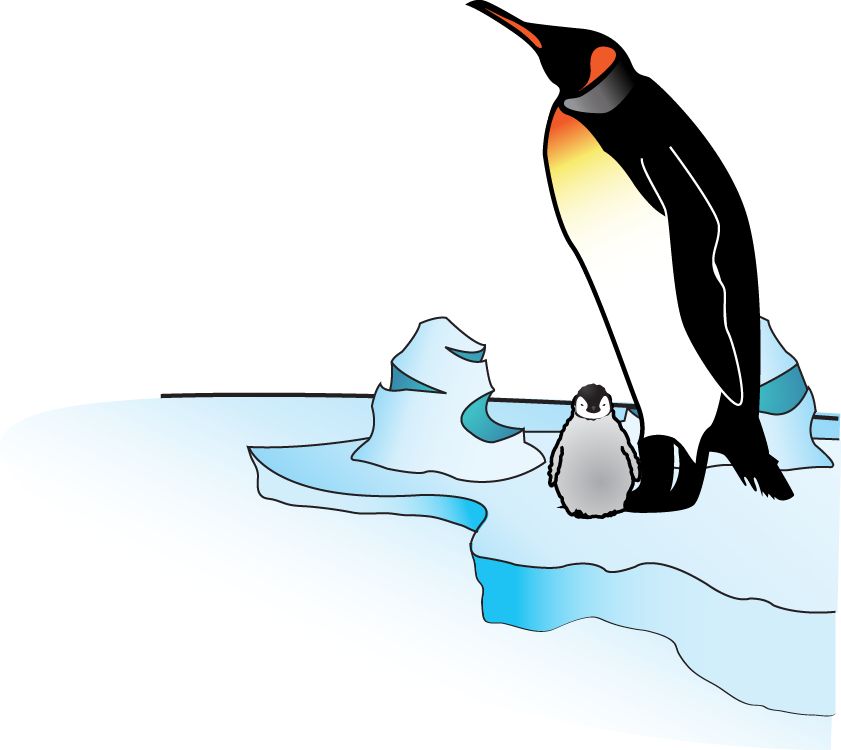 Penguin - Penguin (841x750)