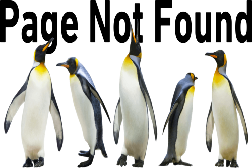 Lost Penguins - Pittsburgh Penguins (500x335)