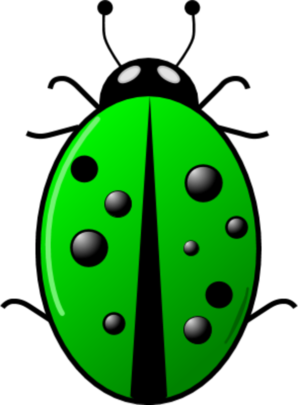 Ladybug Clipart Green - Ladybug Clipart Png (600x816)