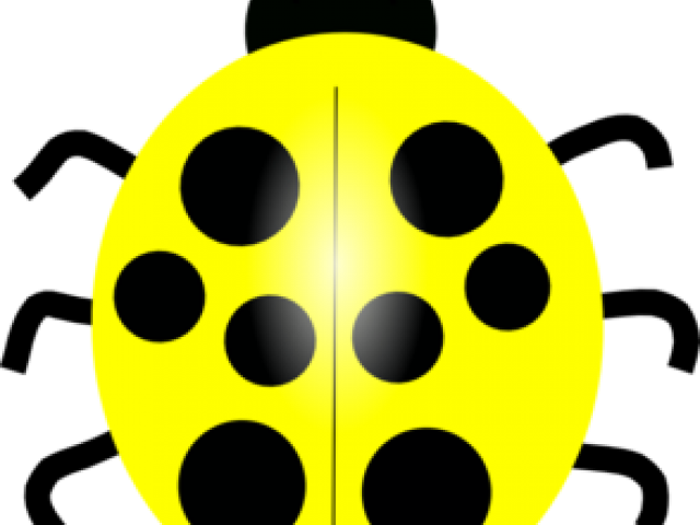 Ladybug Clipart Yellow Ladybug - Blue Ladybug Clipart (640x480)
