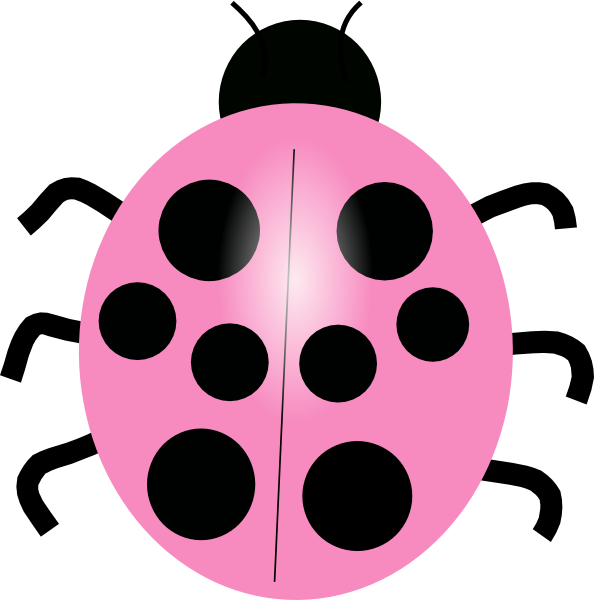 Ladybug Clipart Pink Ladybug - Pink And Black Ladybugs (594x600)
