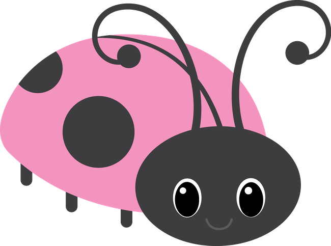 Borboletas & Joaninhas E - Ladybird Beetle (650x483)