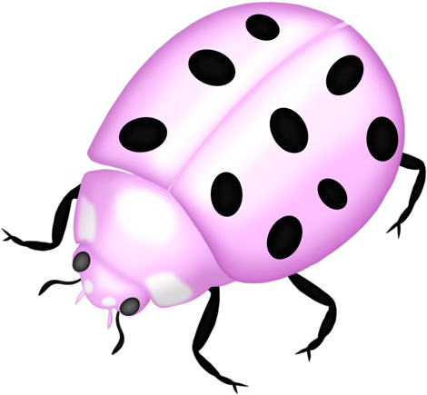 Bug-01 - Ladybird Beetle (500x451)