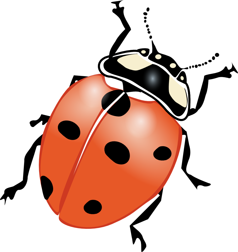 Ladybug Clipart Big - Bug Clip Art (999x1055)