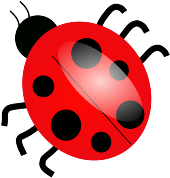 Cartoon Ladybug Cliparts - Transparent Background Bug Png (700x700)