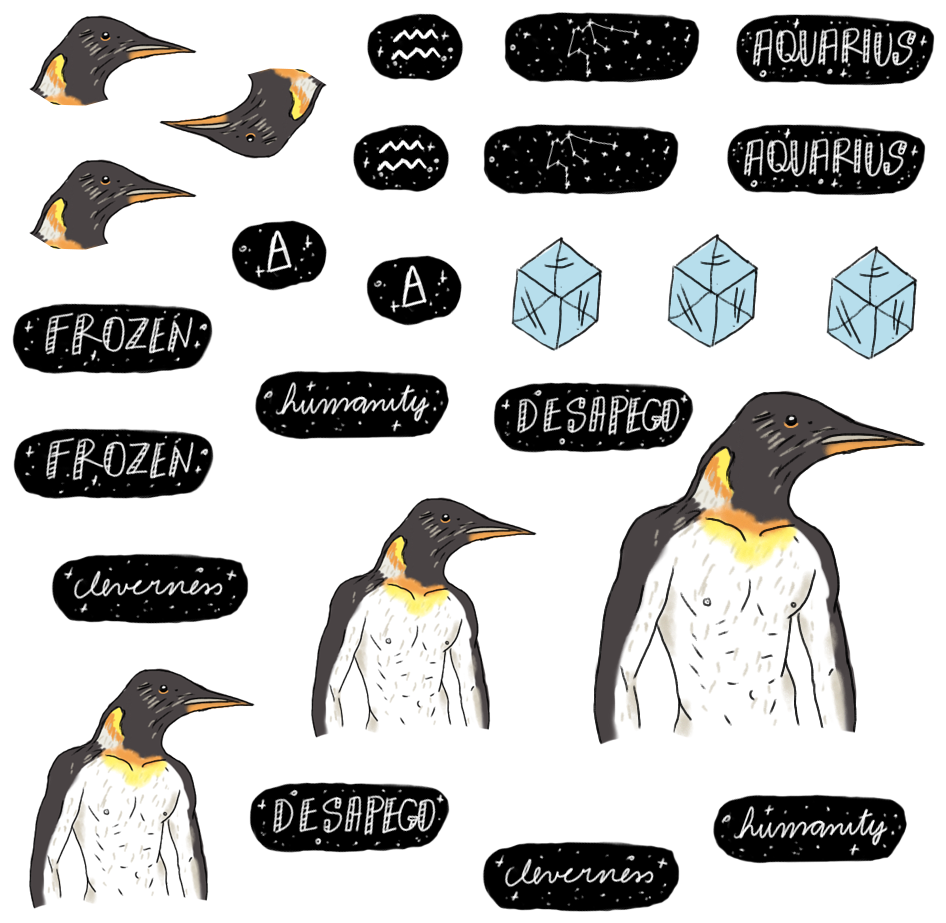 King Penguin (962x962)