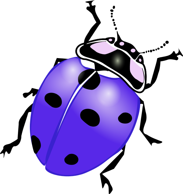 Ladybug Clip Art - Ladybird Black And White (600x634)