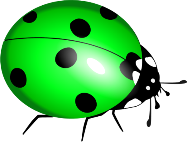 Cartoon Ladybug Clipart - Lady Bug Clip Art (600x454)