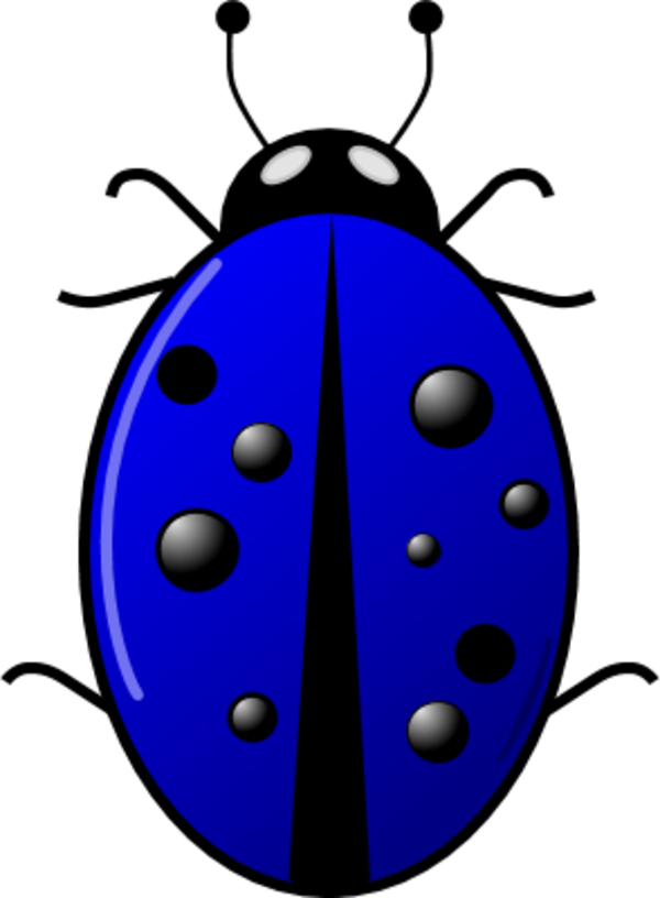 Insect Clip Art - Ladybug Clipart Png (600x816)