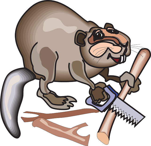 Busy, Cartoon, Saw, Beaver, Art, Animal, Business - Busy As A Beaver (640x620)