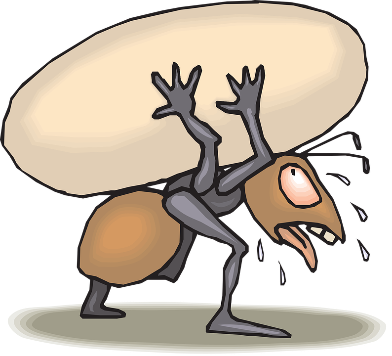 Ant Carrying Food Cartoon (794x720)