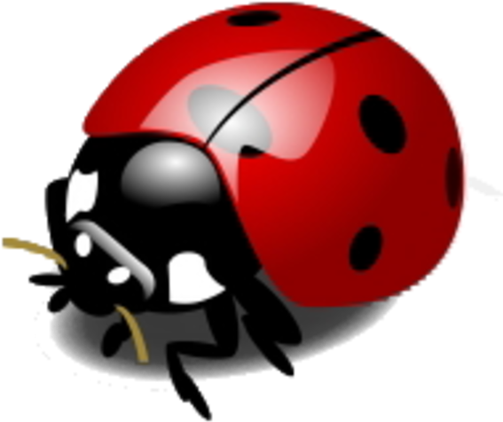 Insect Ladybird Drawing Clip Art - Insect Ladybird Drawing Clip Art (600x600)