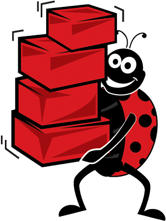 About Ladybird Self Storage - About Ladybird Self Storage (385x500)
