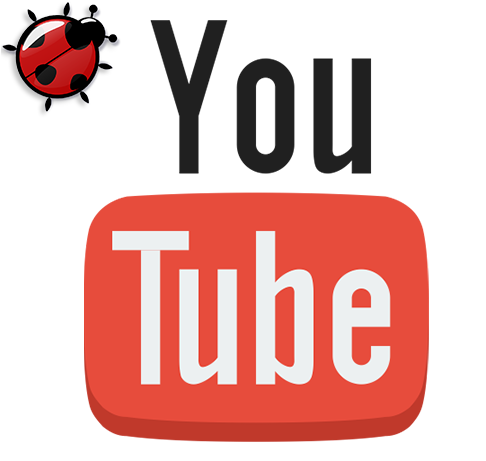 Linkedin - Youtube Logo Transparent Gif (509x516)