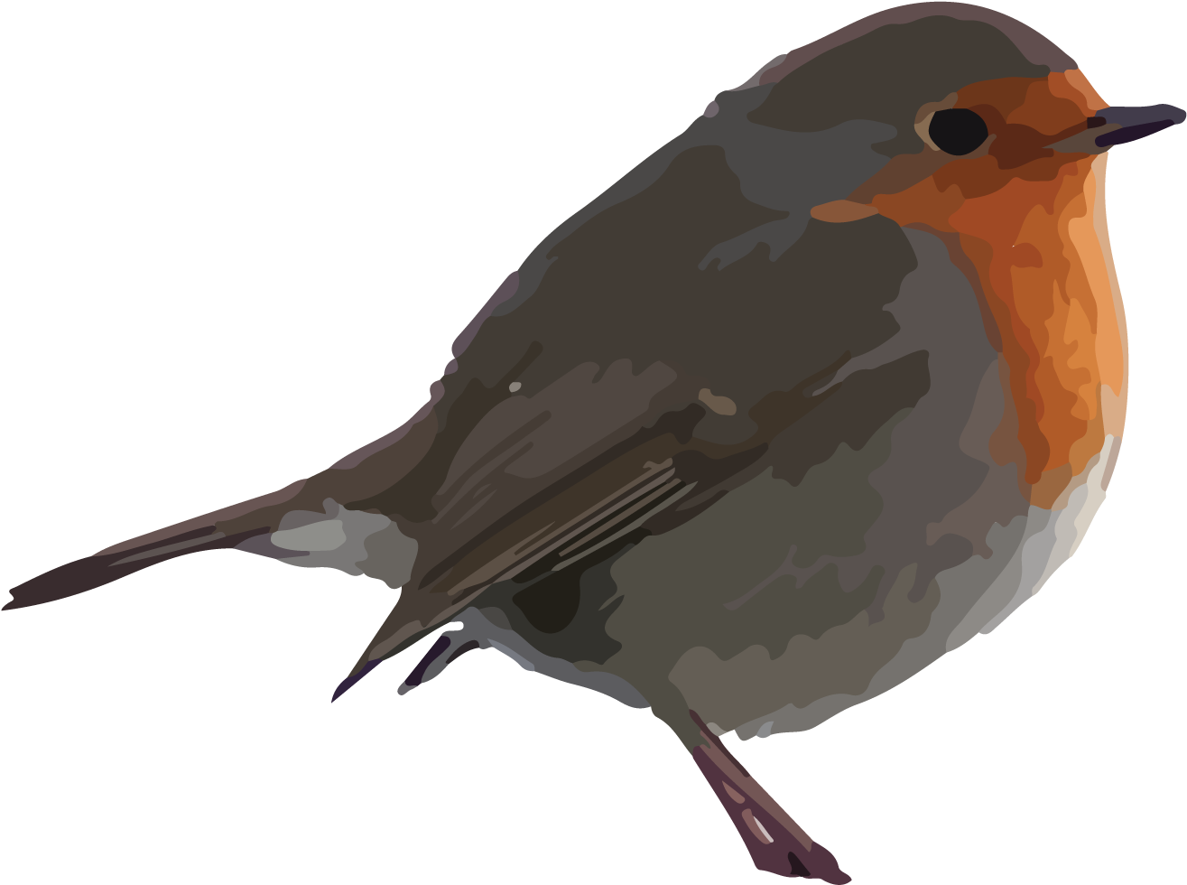 Robin Mckay - Robins Clip Art (1446x1092)