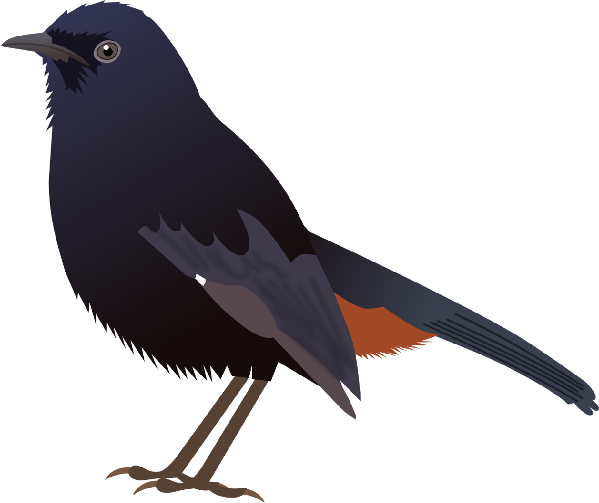 Kreisel Technologies - Koel Bird Png (1221x1024)