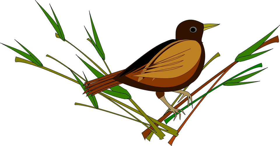 Woodpecker Clipart 29, Buy Clip Art - Burung Pipit Clip Art (960x502)