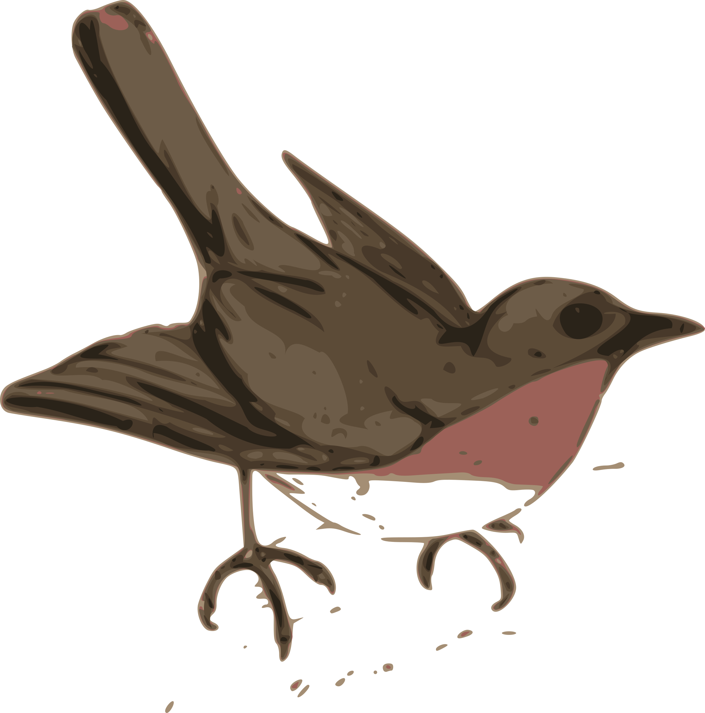 Wren Clipart Robin Bird - Bird Clip Art (2375x2400)