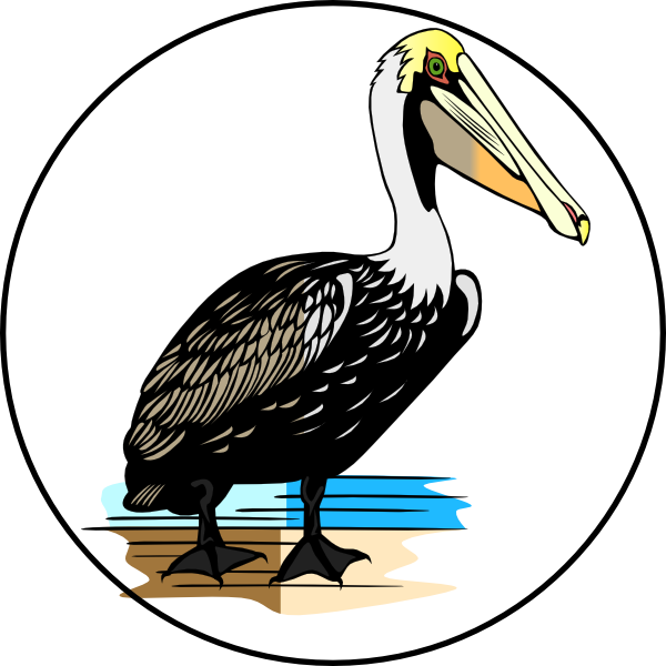 Clipart Info - Custom Pelican Shower Curtain (600x600)