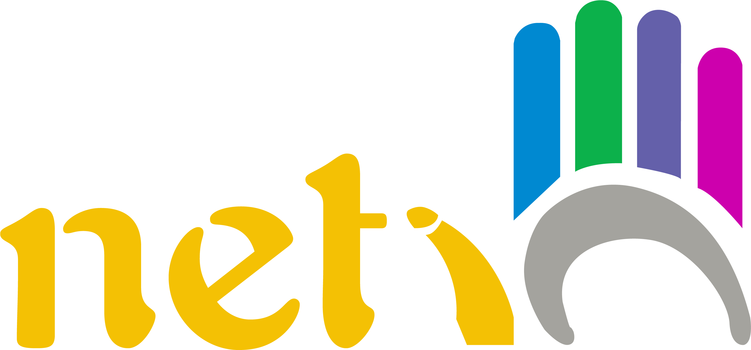 Neti5 Web Solutions (2921x1602)
