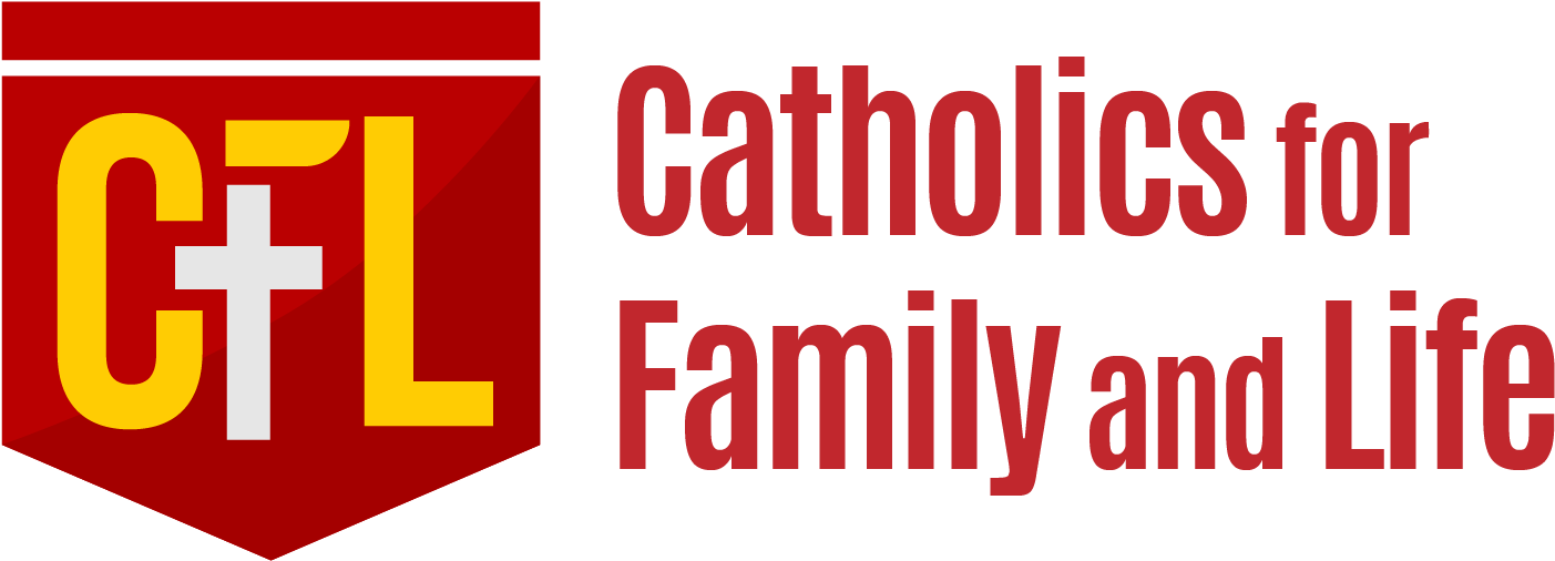 Faith Formation - Catholics For Family And Life (1623x642)