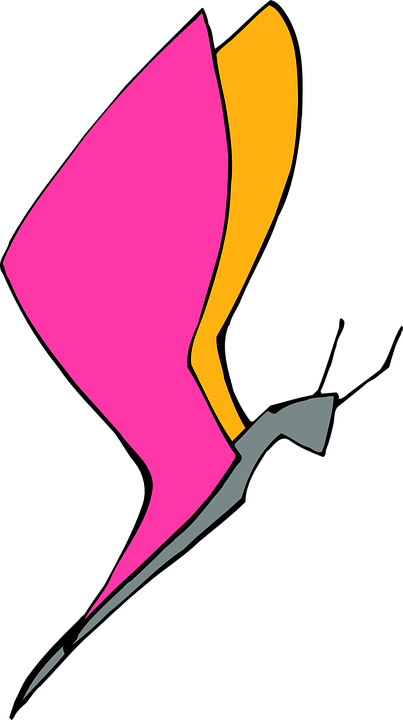 Pink Butterfly Clipart 25, - Butterfly (403x720)