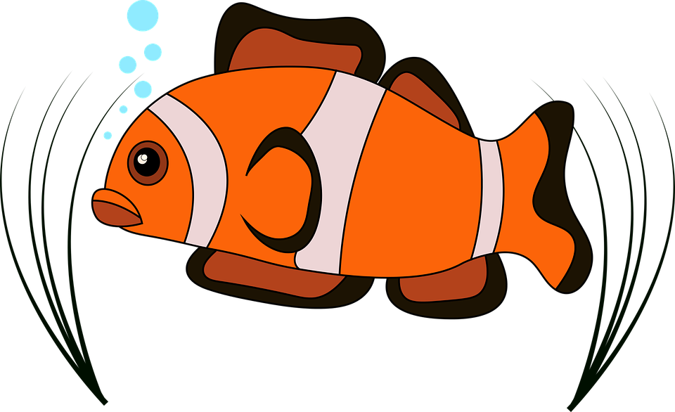 Funny Cartoon Fish Pictures 19, Buy Clip Art - Ikan Vektor Png (960x586)