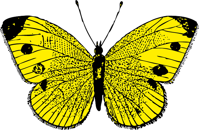 Yellow Butterfly Clip Art At Clker Com Vector Clip - Butterfly Yellow (640x419)
