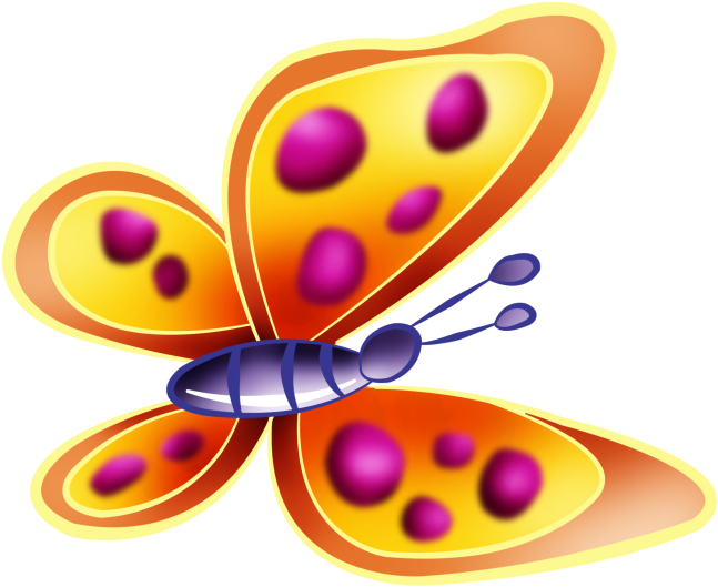 Butterfly Clip Art - Butterfly Clip Art (670x548)