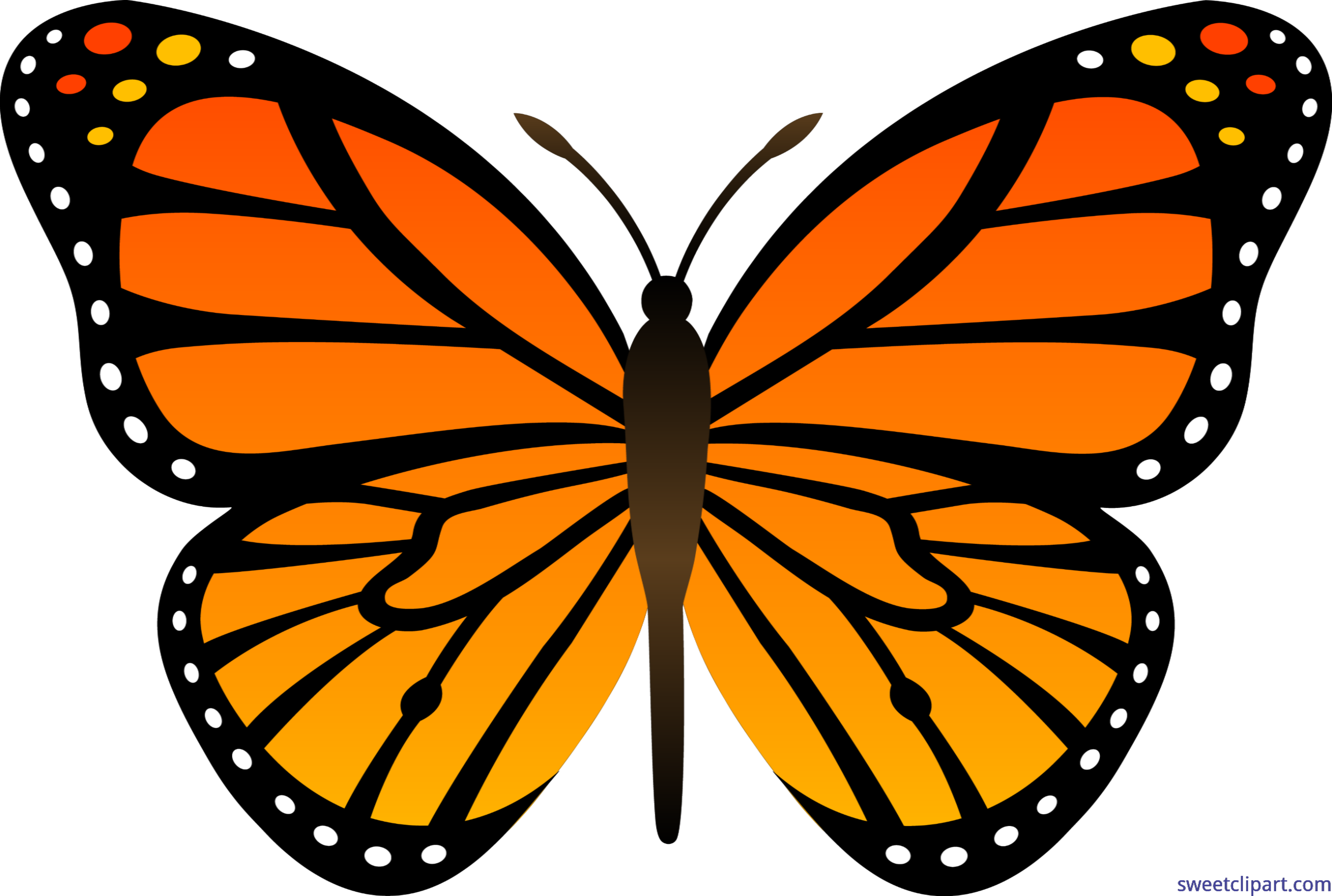 Monarch Butterfly Clip Art - Butterfly Clip Art (5920x3982)