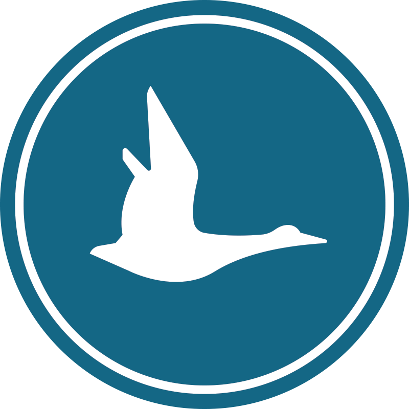 Paris Saint Germain Logo Vector (800x800)