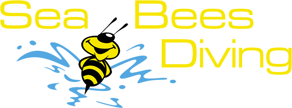 Selfie Destination - Underwater Diving (603x223)