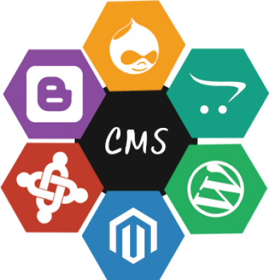 Local Seach Optimization Services - Wordpress (381x396)