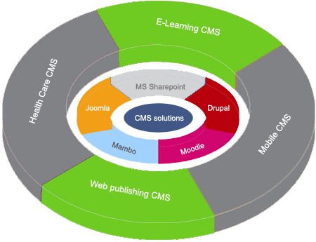Software Development Service Service Provider From - Content Management (450x345)