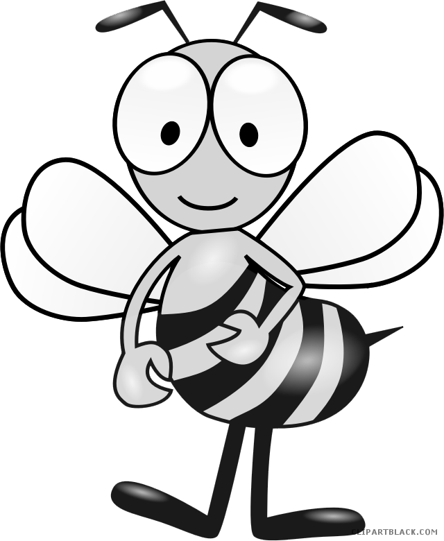 Bumble Bee Animal Free Black White Clipart Images Clipartblack - Parts Of The Bee (640x780)