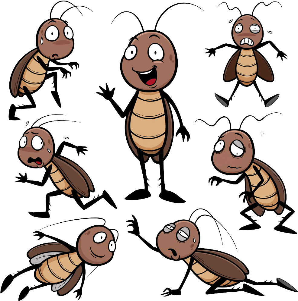 Cockroach Cartoon Drawing Clip Art - Cockroach Cartoon Drawing Clip Art (1023x1023)