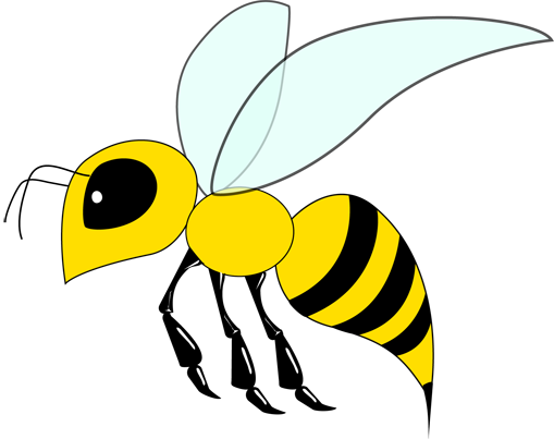 Bee Drawing - Drawings Of A Bee (509x403)