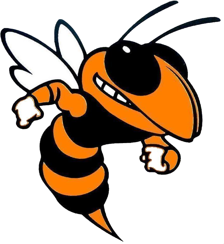 Orange County High School Hornet (726x785)