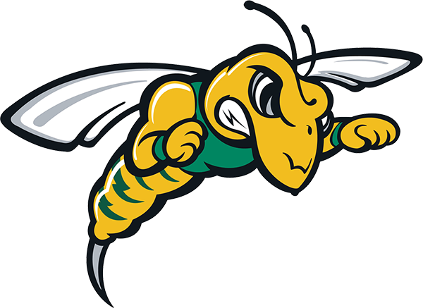 Black Hills State University Mascot (600x437)
