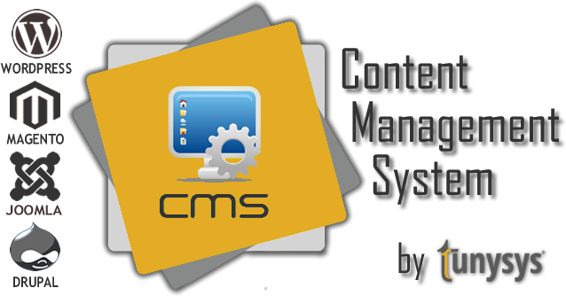 Content Management System Web Designing & Development - Responsive Web Design (638x334)