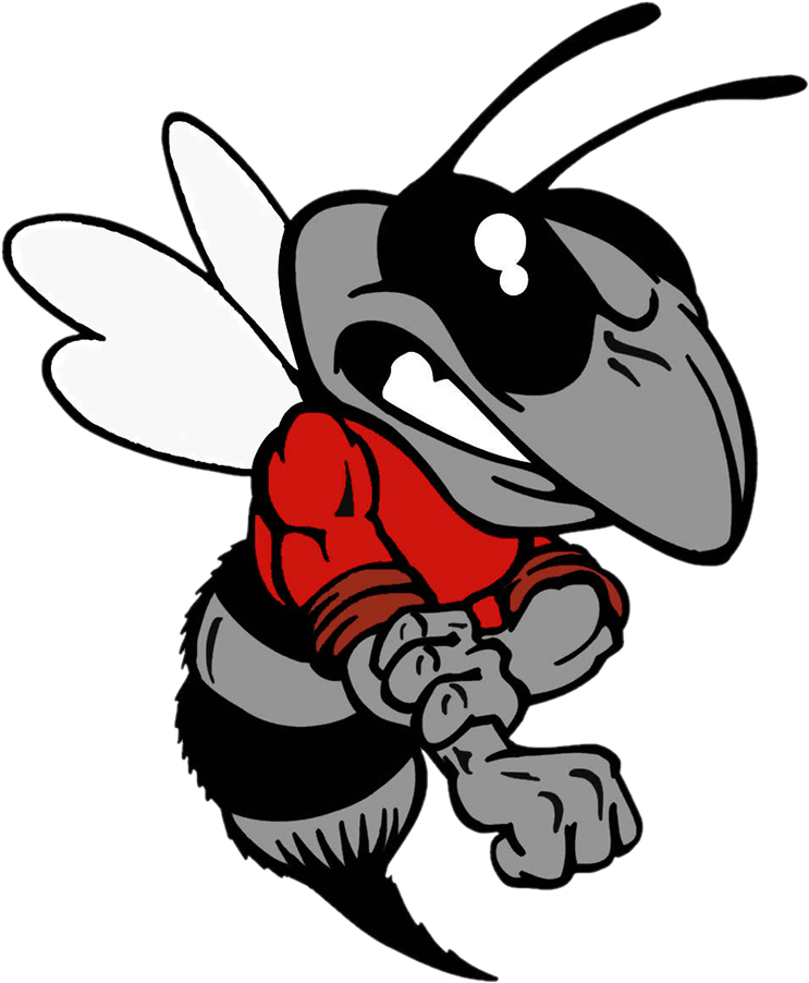 Hancock County Hornets - Hancock County High School Hornets (743x902)