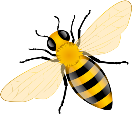 ิbee - Bee Vector (600x600)