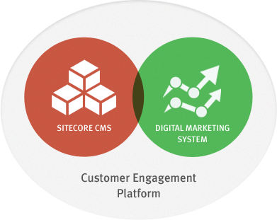 What Is Content Management System Cms Definition From,best - Sitecore Dms (391x311)