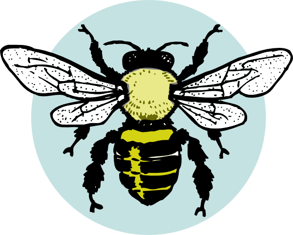 Little Bee Clip Art At Clkercom Vector Online - Parts Of Honey Bee (600x481)