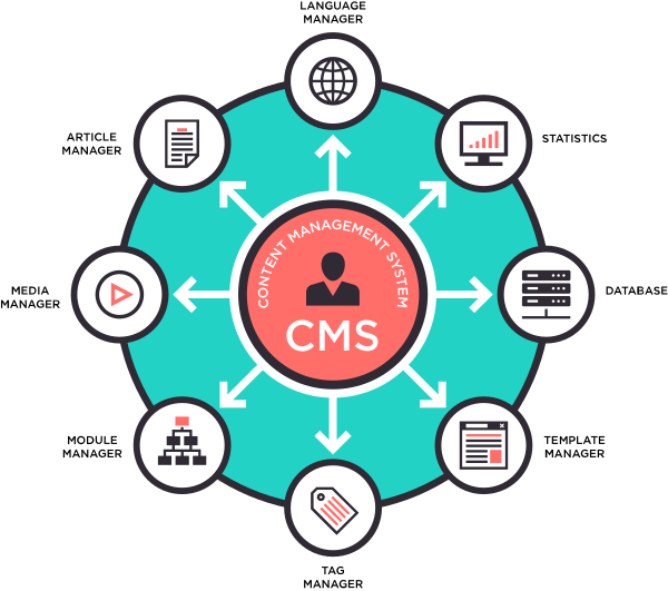 What Web Strategy & Design Services Do - Chicago Bears Logos, Uniforms, And Mascots (600x531)