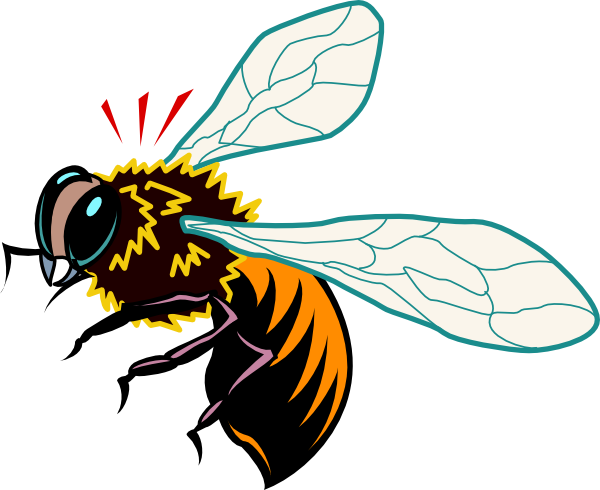 Bee Hive Clip Art - Honeybee Vector (600x490)
