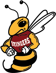 Concordia Stingers (450x300)