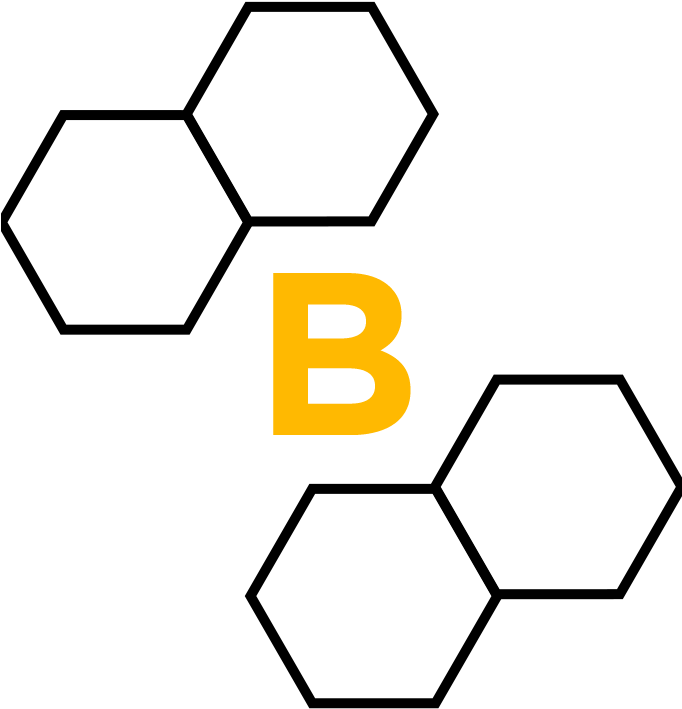 The Bee Agency - Segmentation Icon (681x792)